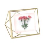 Prisma Photo Display 10 x 15 cm (Mat Brass) - Umbra