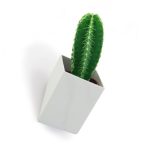 Off the Wall Pot Small (White) - Thelermont Hupton