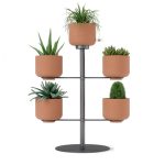 Terrapotta Tabletop Planter (Terracotta / Titanium) - Umbra