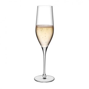 Vinifera Champagne Glasses 245 ml (Set of 6) - Nude Glass